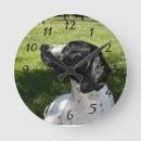 Search for english pointer gifts hunting