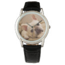 Search for french bulldog watches Young animal