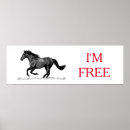 Search for white horse running posters Horses