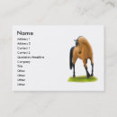 Search for equine photography business cards Dressage