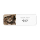 Search for cat return address labels Animal lover