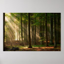 Search for landscape art Forest