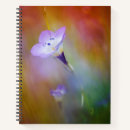 Search for point loma lighthouse Cabrillo