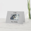 Search for shih tzu birthday cards Photography