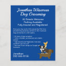 Search for spa flyers Blue