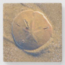 Search for hilton head island coasters Beach