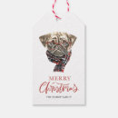 Search for gift tags Watercolor