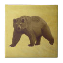 Search for black bear tiles Animals