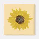 Search for sunflower magnets Brown
