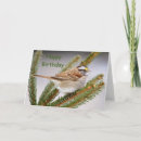 Search for sparrow cards Wildlife
