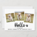 Search for golden retriever puppy invitations Dog