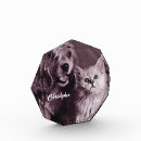 Search for funny office awards Pet