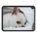 Search for cute trailer hitch covers Pets