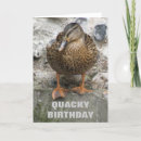Search for funny duck birthday cards Animals