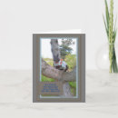 Search for funny dog quotes cards Squirrel
