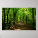 Search for tree posters Mountain