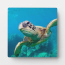 Search for beach life plaques Ocean