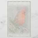 Search for cardinal stationery paper Nature