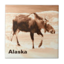 Search for moose tiles Canada