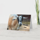Search for goat thank you cards Cute