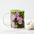 Search for shamrocks mugs flowers