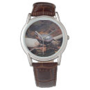 Search for turtle watches Wildlife