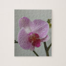 Search for orchid puzzles pink
