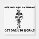 Search for mirror magnets Funny