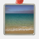Search for turks and caicos ornaments Shallow