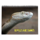 Search for snake calendars nature