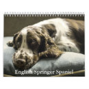 Search for english springer spaniel gifts Puppy
