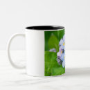 Search for forget me not mugs Blue