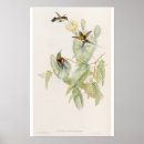 Search for vintage bird posters Botanical