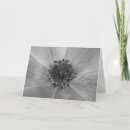 Search for blank floral cards Summer