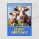 Search for funny cow birthday cards Cows