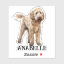 Search for goldendoodle stickers Poodle