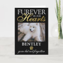 Search for death pet sympathy cards Condolences
