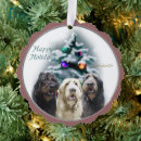Search for labradoodle cards Dogs
