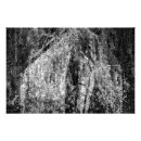 Search for weeping willow tree posters Leaves