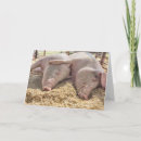 Search for farm anniversary cards Funny