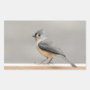 Search for x wing stickers Feathers
