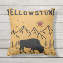 Search for vintage national park pillows Montana