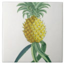Search for pineapple tiles Botanical