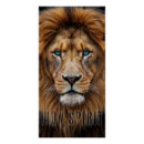 Search for lion motivational posters Lions
