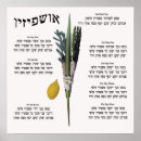 Search for sukkot posters Lulav