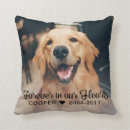 Search for pet loss pillows Forever in our hearts