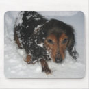 Search for dachshund mousepads Animal