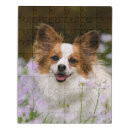 Search for papillon puzzles Pet