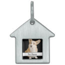 Search for photo pet tags Cute