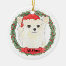 Search for chihuahua ornaments white